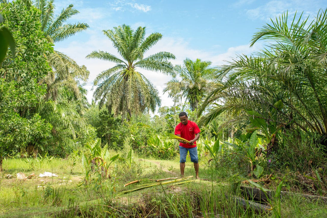 Madagascar Textiles: Tradition & Modernisation